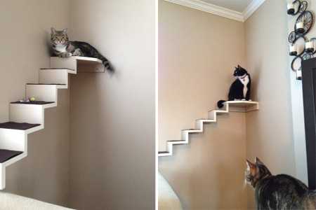 Escalera para gato...: Beneficios: