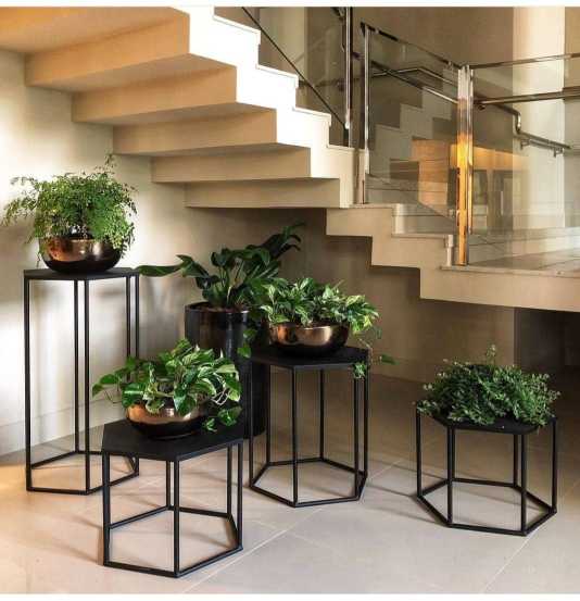escaleras con plantas debajo